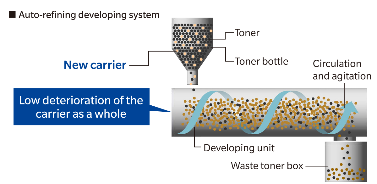 Stabilised developer activity reduces image degradation 